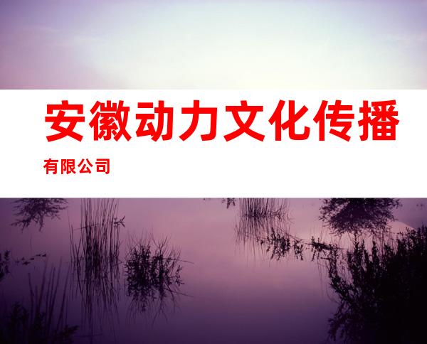 安徽动力文化传播有限公司